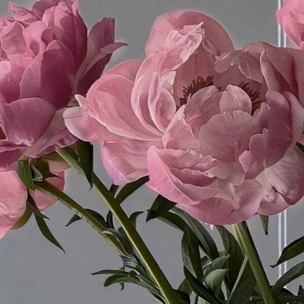 c053bf500127998164490f01f41fd30c