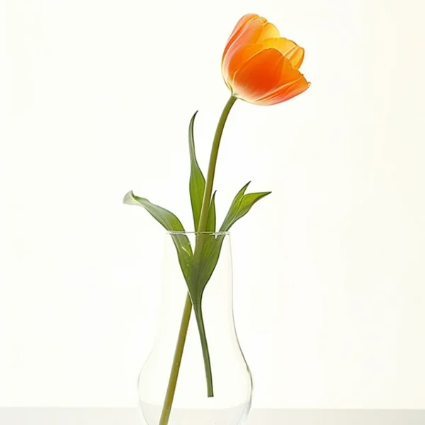 pngtree-an-orange-tulip-in-a-glass-vase-sitting-on-a-table-image_13140716